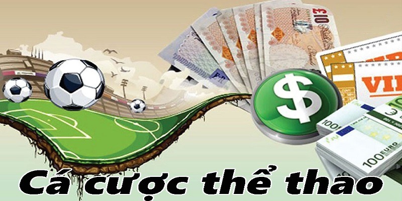 Giới thiệu về cược kèo đá hụt