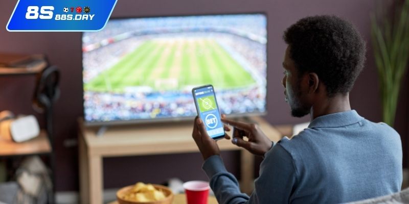 Tổng thể sơ lược về nhà cái 8S